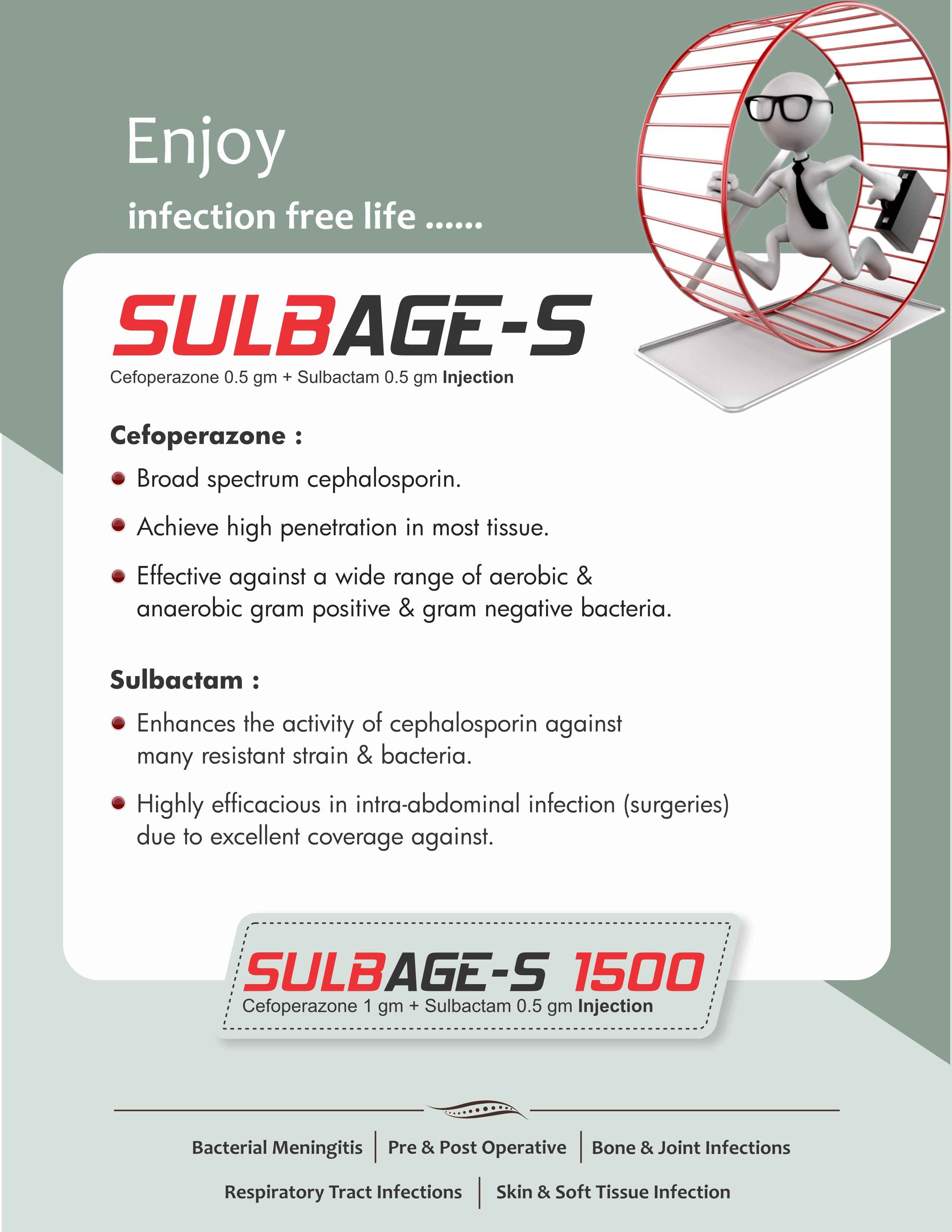 SULBAGE S -1000 Injections
